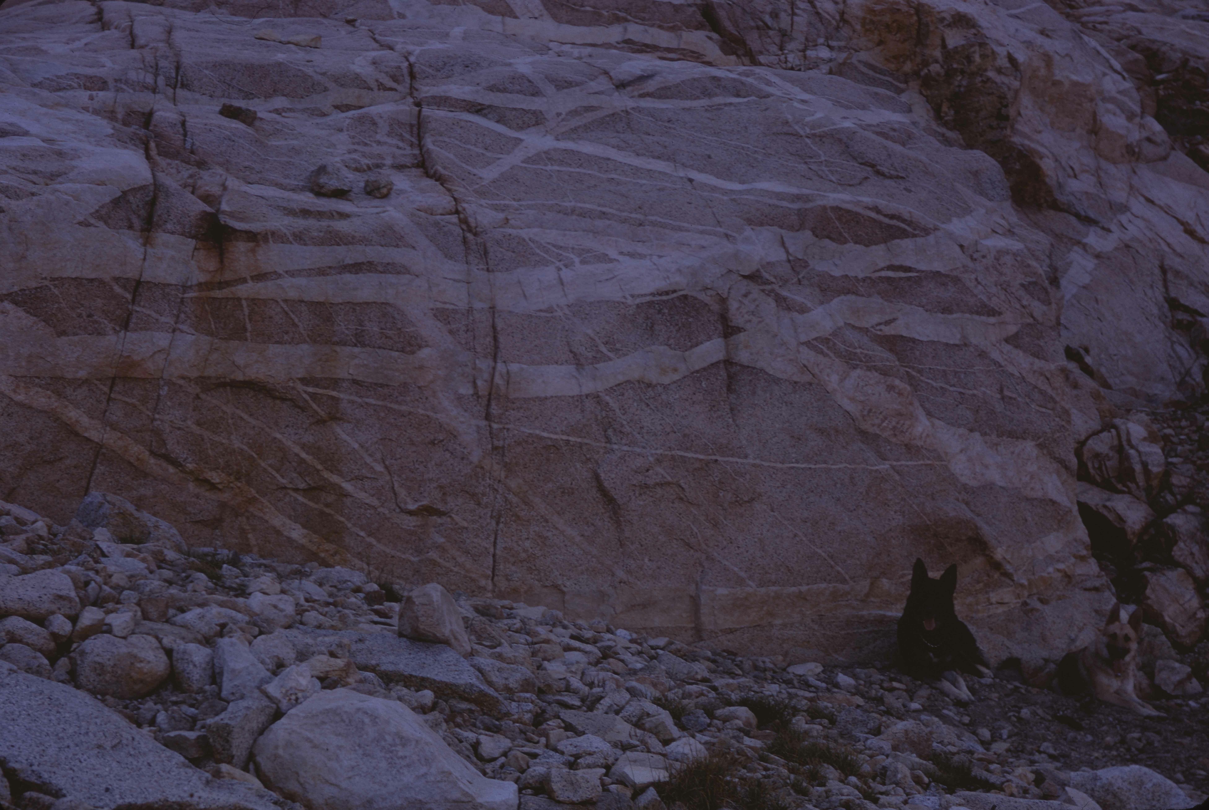 Dikes. D-1-k-6. Nancy Baggott. Yosemite Original. Public Domain. C-03-03-036.