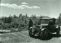 Yosemite Lumber Co. Reproduction on cutover lands timber cut & logged 1915.