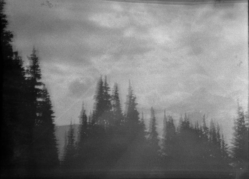 Mt. Rainer National Park