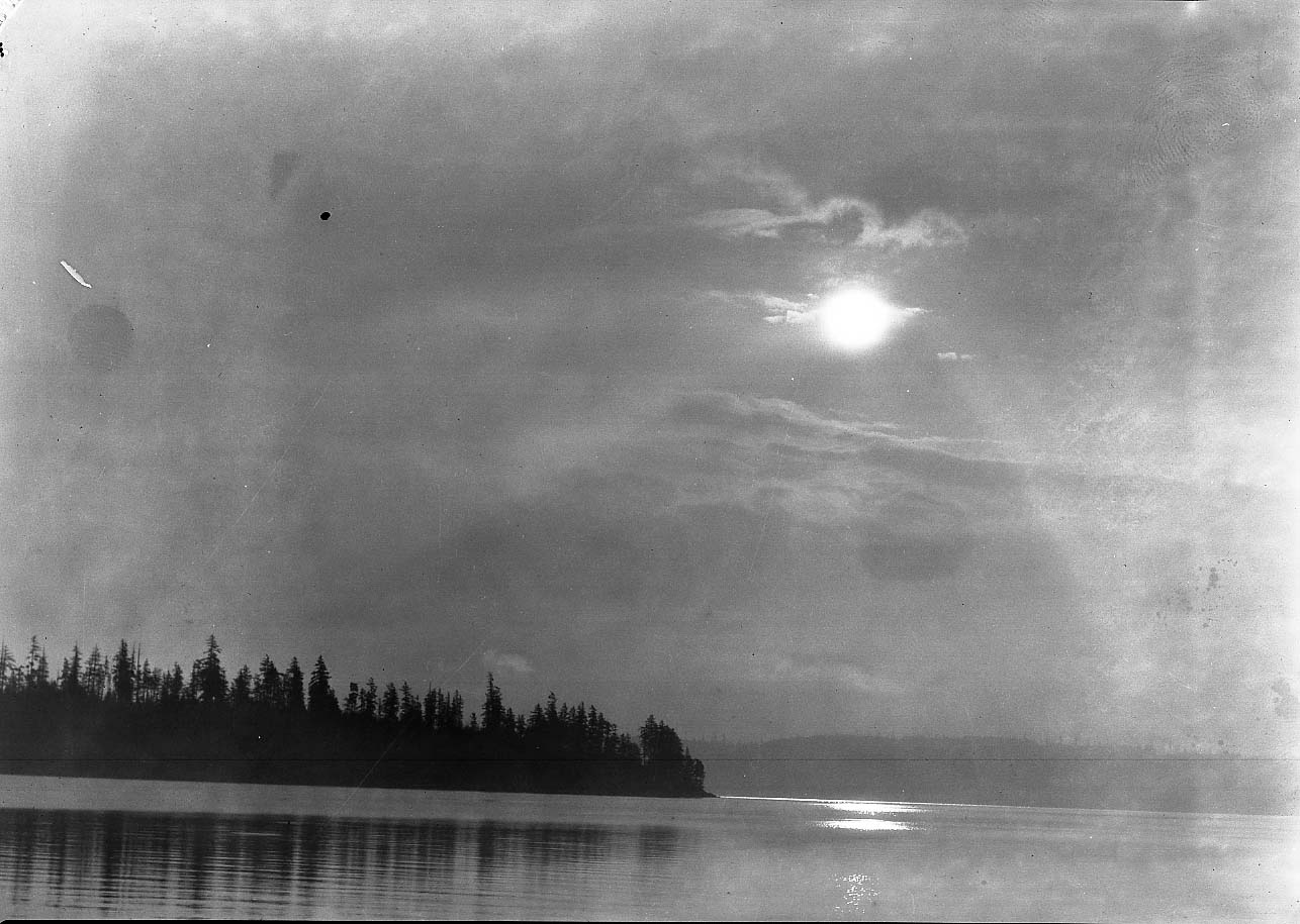 Mt. Rainer National Park