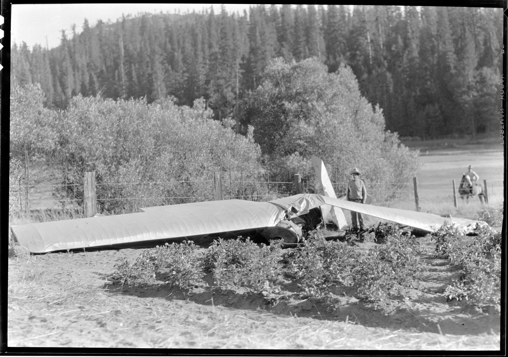 Plane crash near Wawona, 1 killed and 1 injured