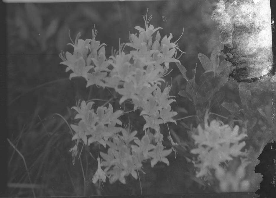 Yosemite National Park