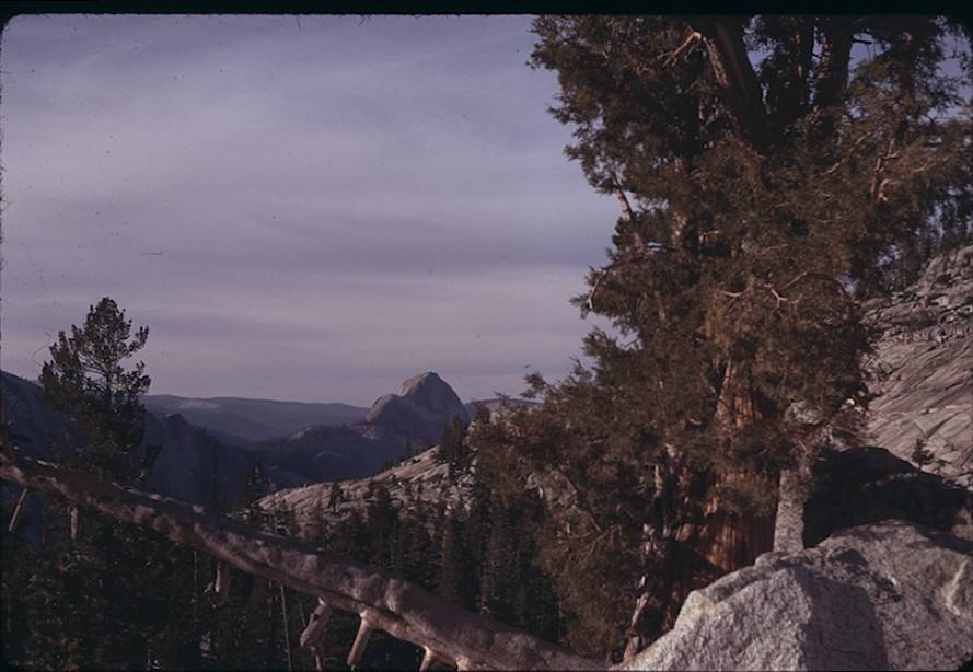 Half Dome from Olmstead Point