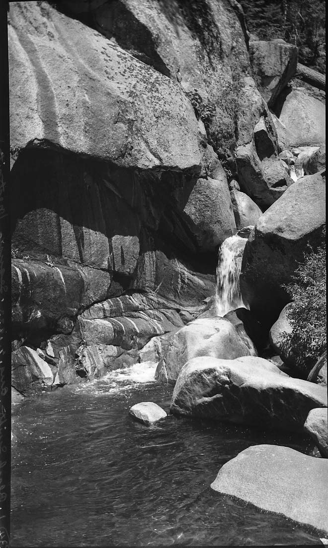 Sequioa National Park