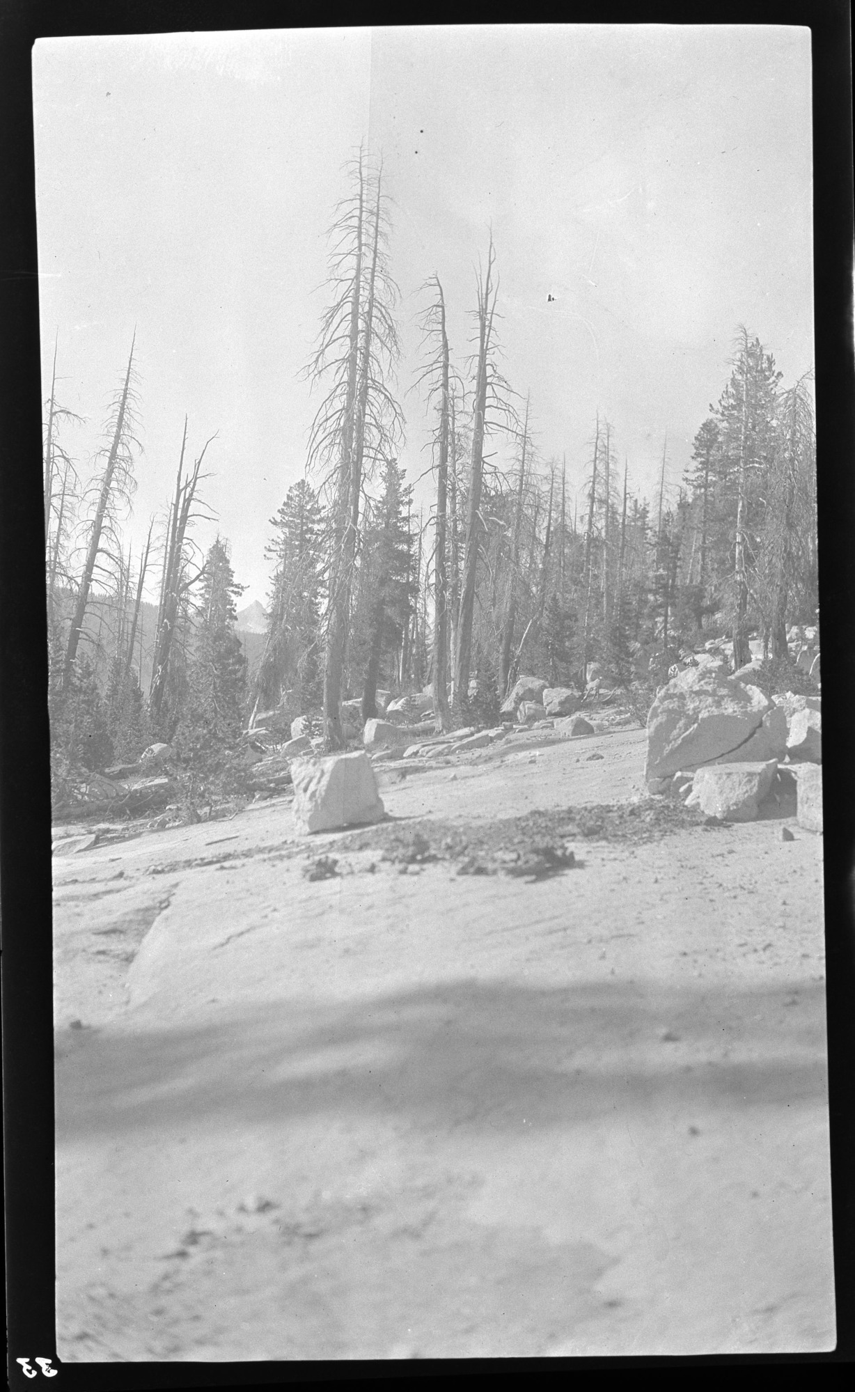 View from Tioga Road.