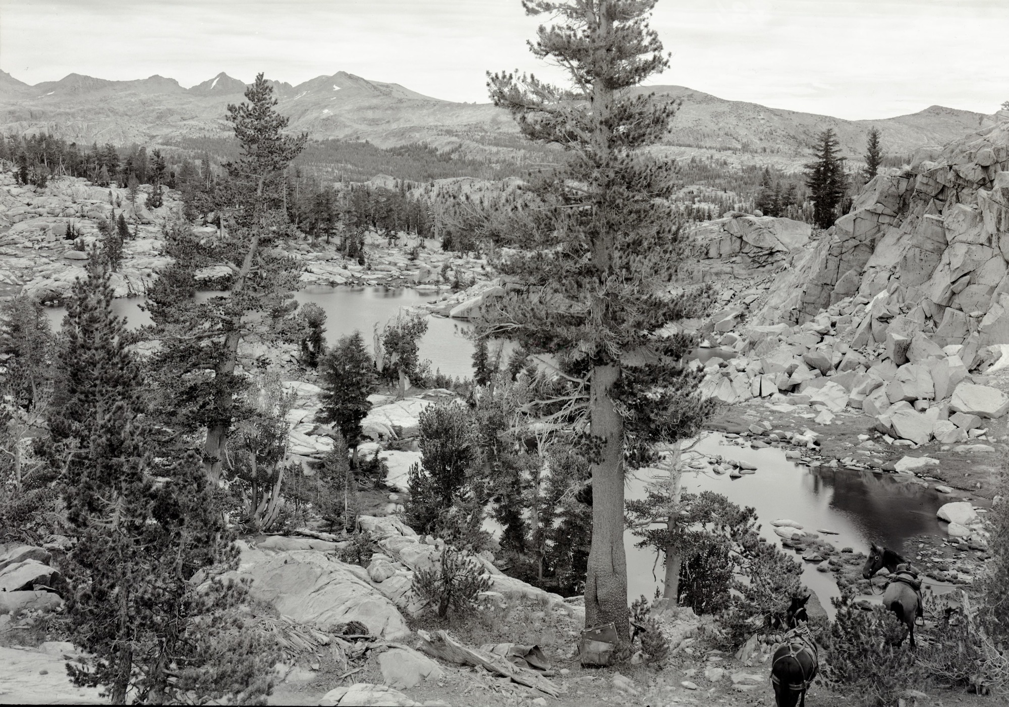 Lakes along Mt. Clark Range trail. Lyell-McClure group in the distance.