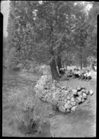 NPS Director Stephen Mather and group on bank of Merced River.