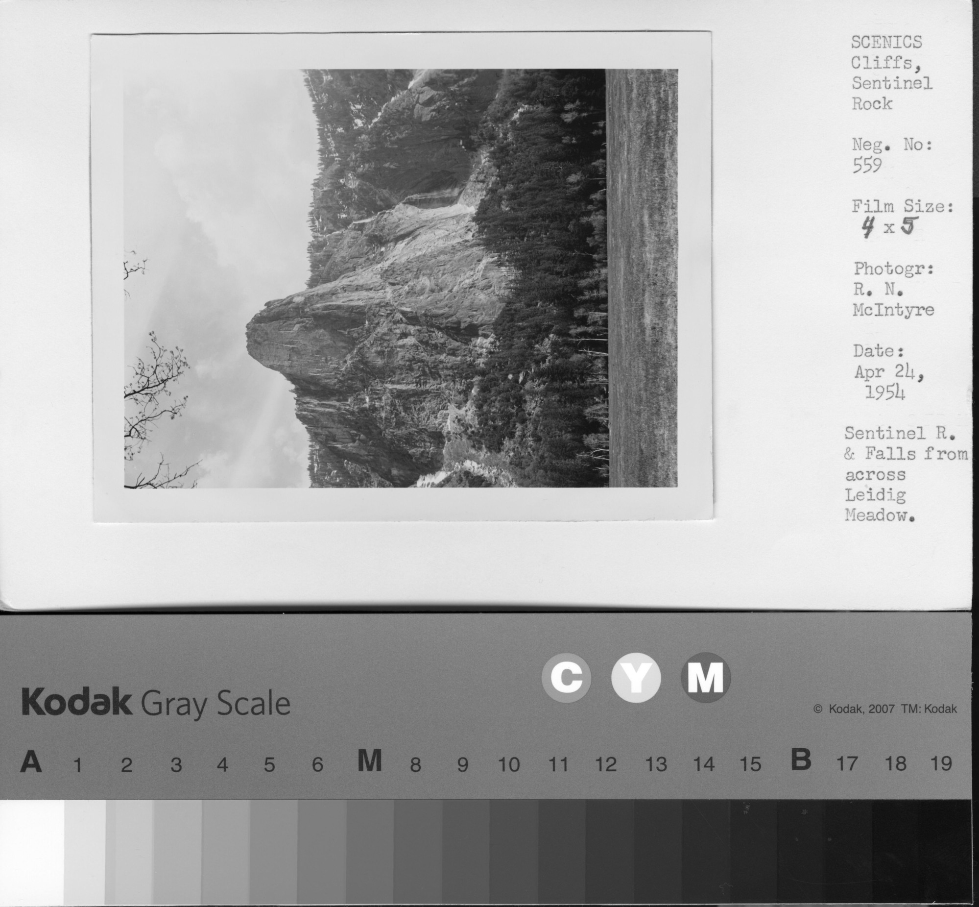 Sentinel R. & Falls from across Leidig Meadow.