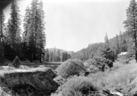 Ditch in Wawona Golf Course - meadow.