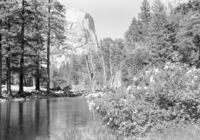 Mt. Watkins & Azaleas