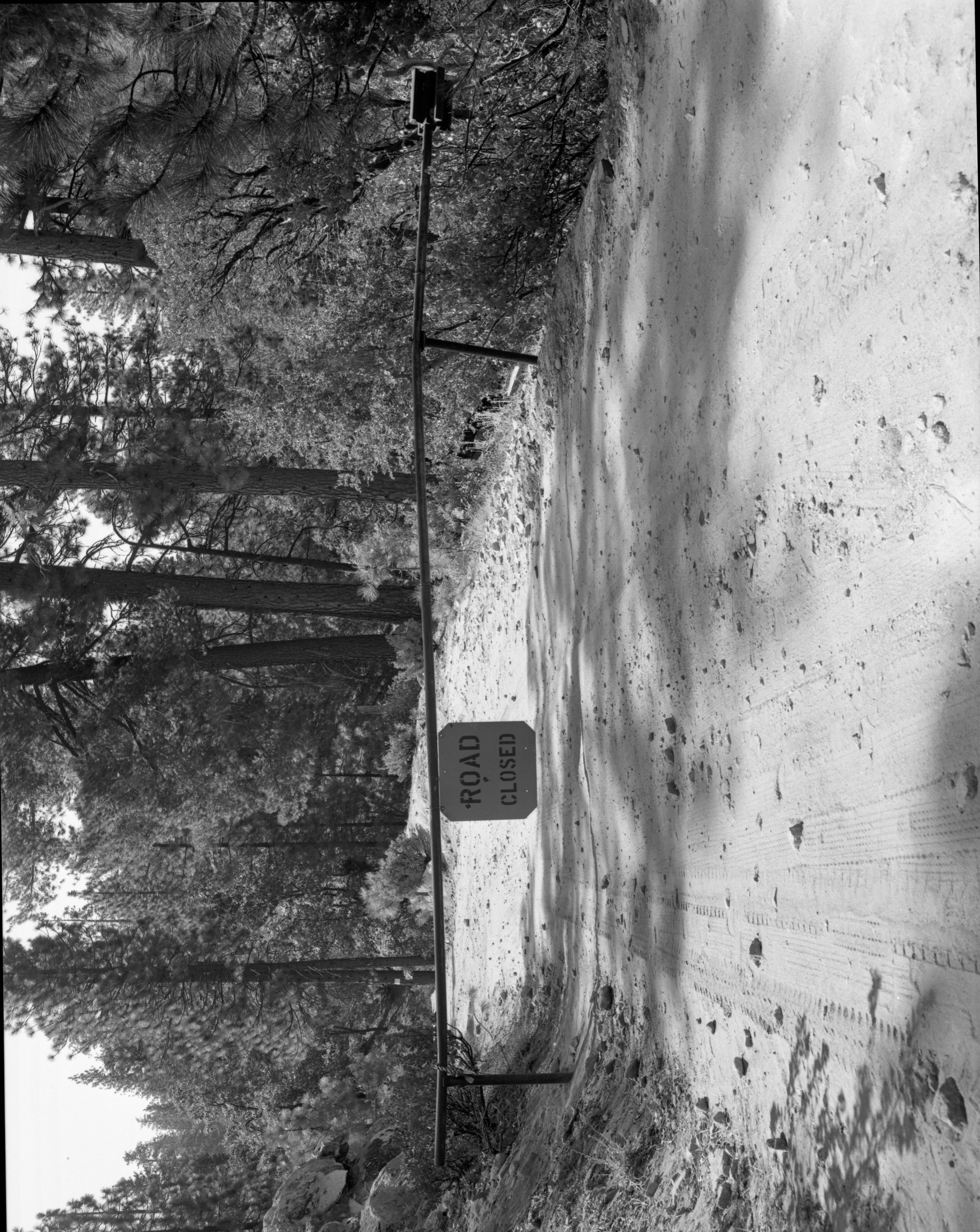 Foresta. Gate to Foresta. A-1.