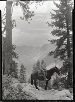 Director Albright with the "Roarding River" region in the background. copied by Mike Floyd.  copied September 1991.