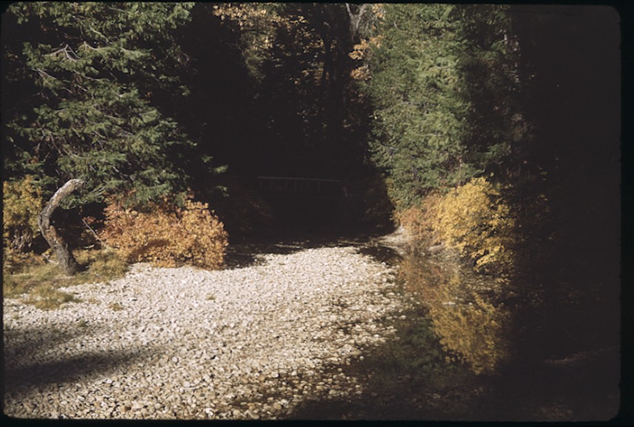 Yosemite Creek in fall