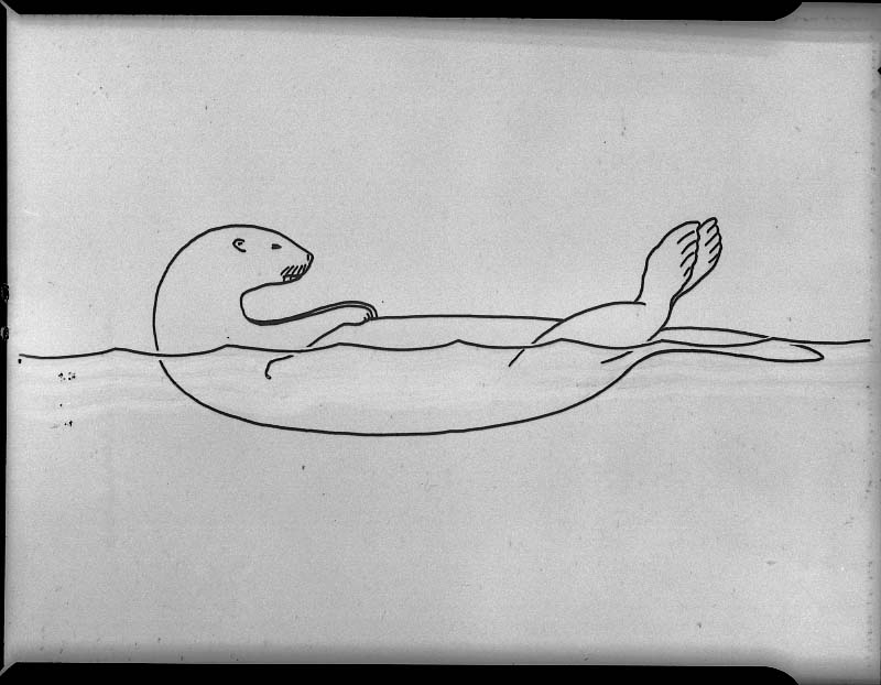 Otter Drawings