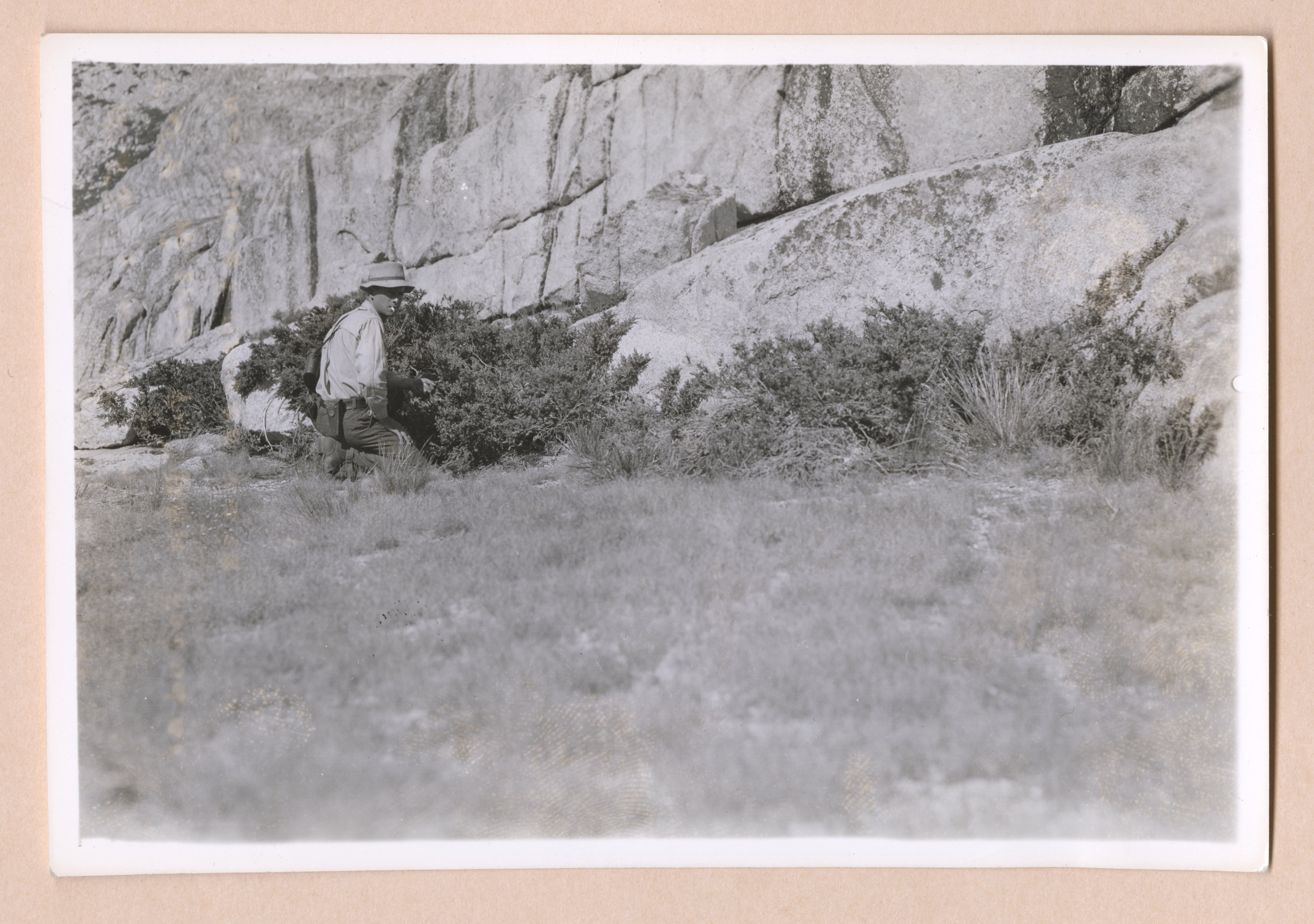 Party A pack 3 #9, Types L Hm Sb, Location 1 mi SE of Price Pk, Note: Juniperus communis var. montana