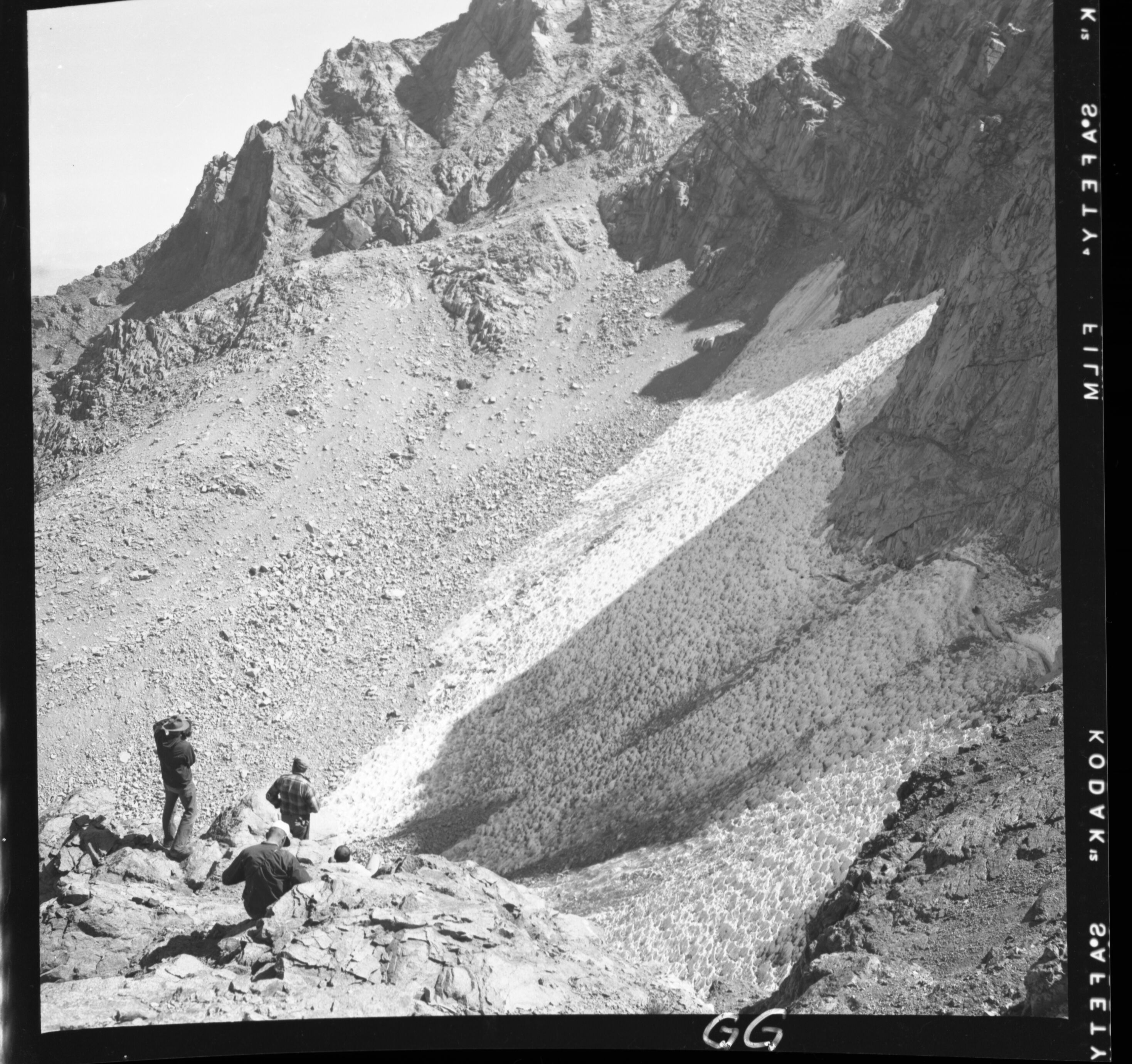 1954 Glacial Survey