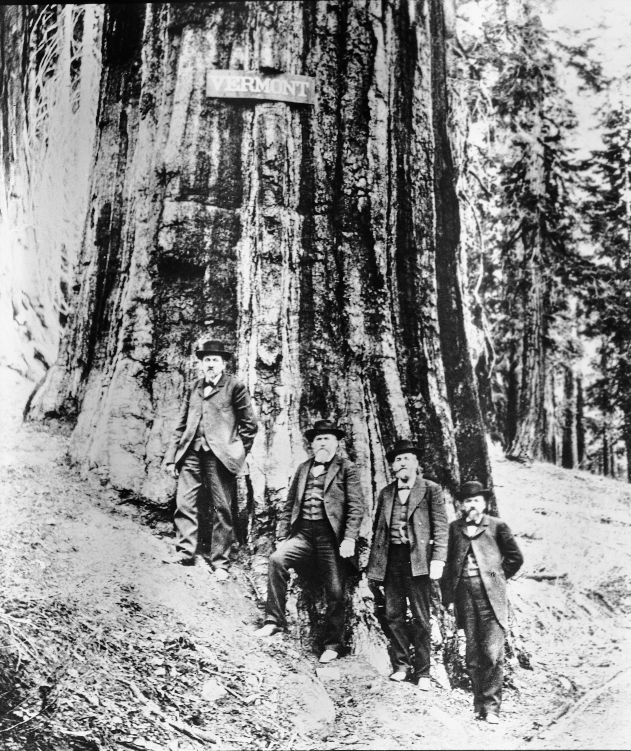 The Washburn Brothers: Julius, John, Henry, & Edward. Shown on p. 69 of Shirley Sargent's "Wawona's Yesterdays".