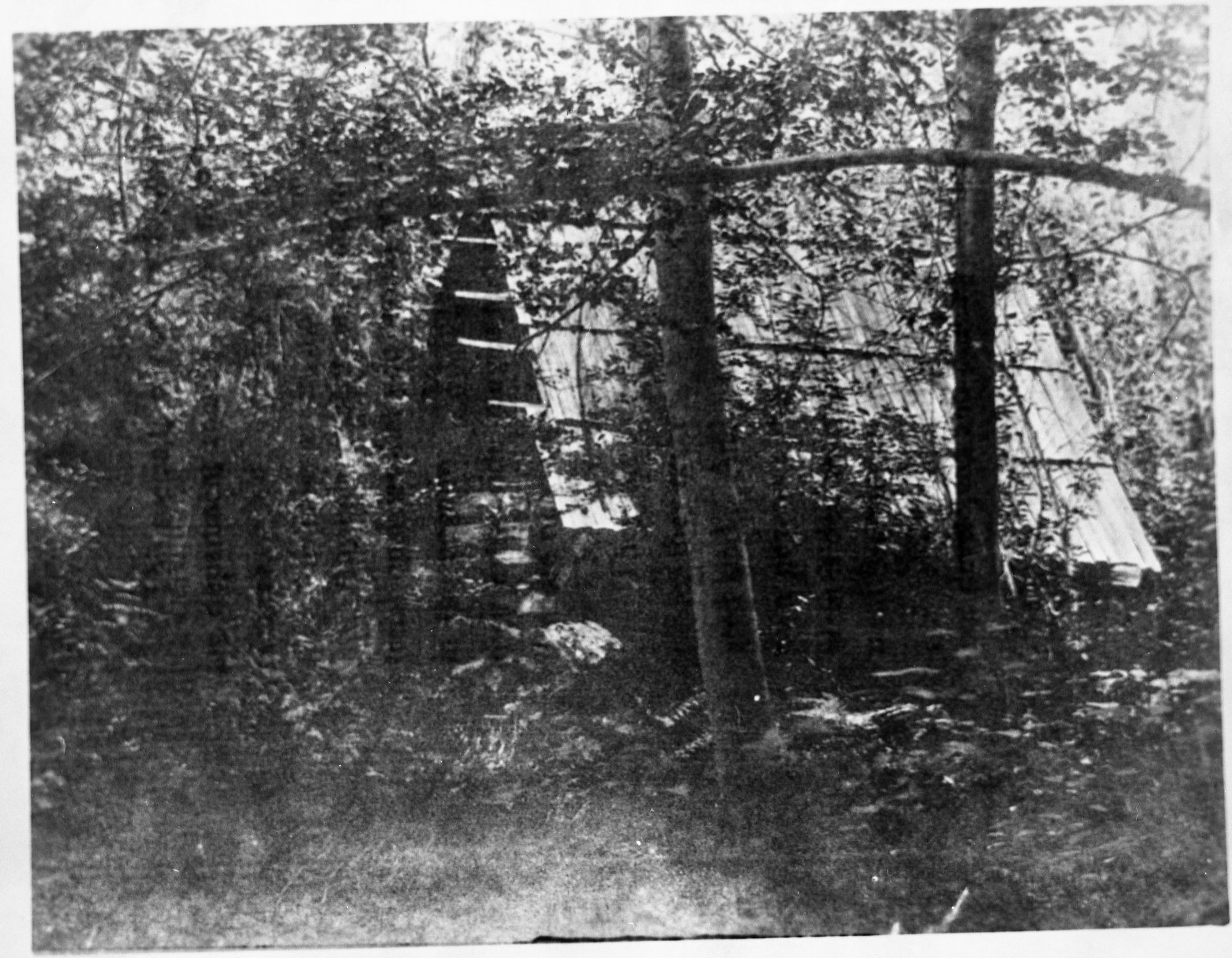 John Muir's lost cabin.