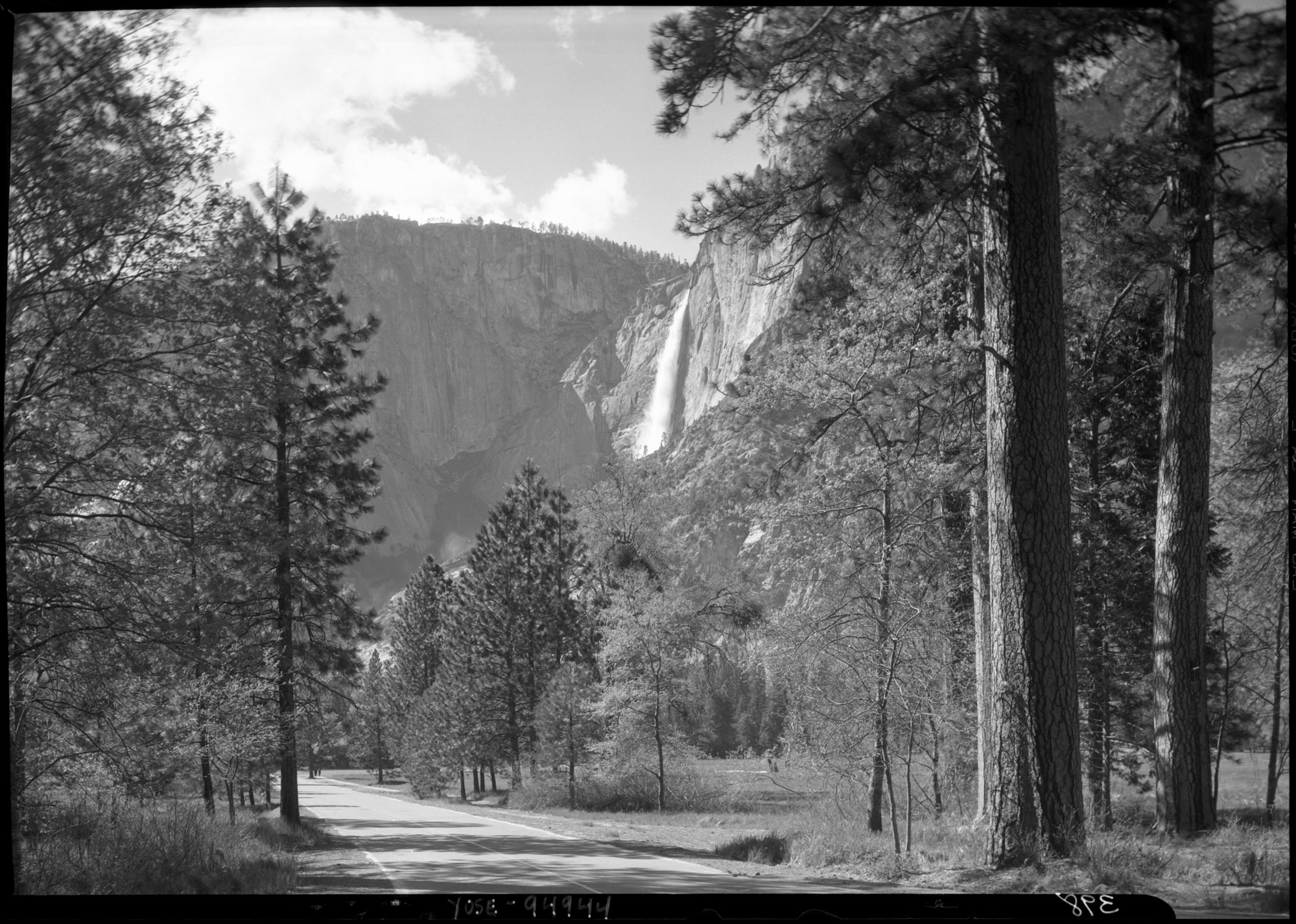 Yosemite Fall with pine tree foreground.