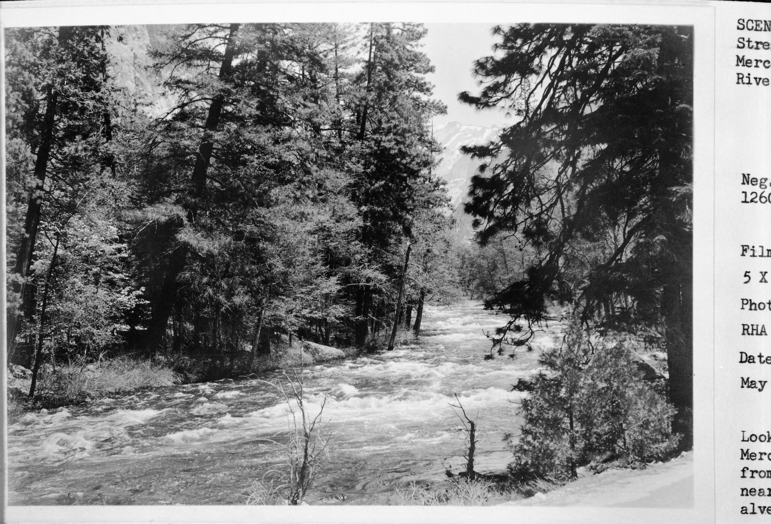 Looking up Merced River from Road near Bridalveil Fall.; Copy Neg: Leroy Radanovich, April 1999.