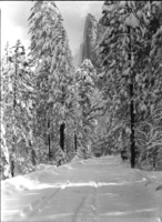 Winter scene of sentinel rock