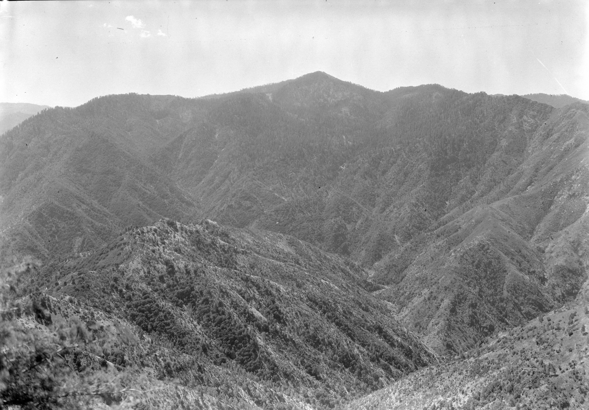 One of eight views from Pinoche Peak, as a possible location for a fire lookout. The 8 views make a 360 degree picture.