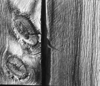 Close up of aged timber at the Sheepherder Tunnel.