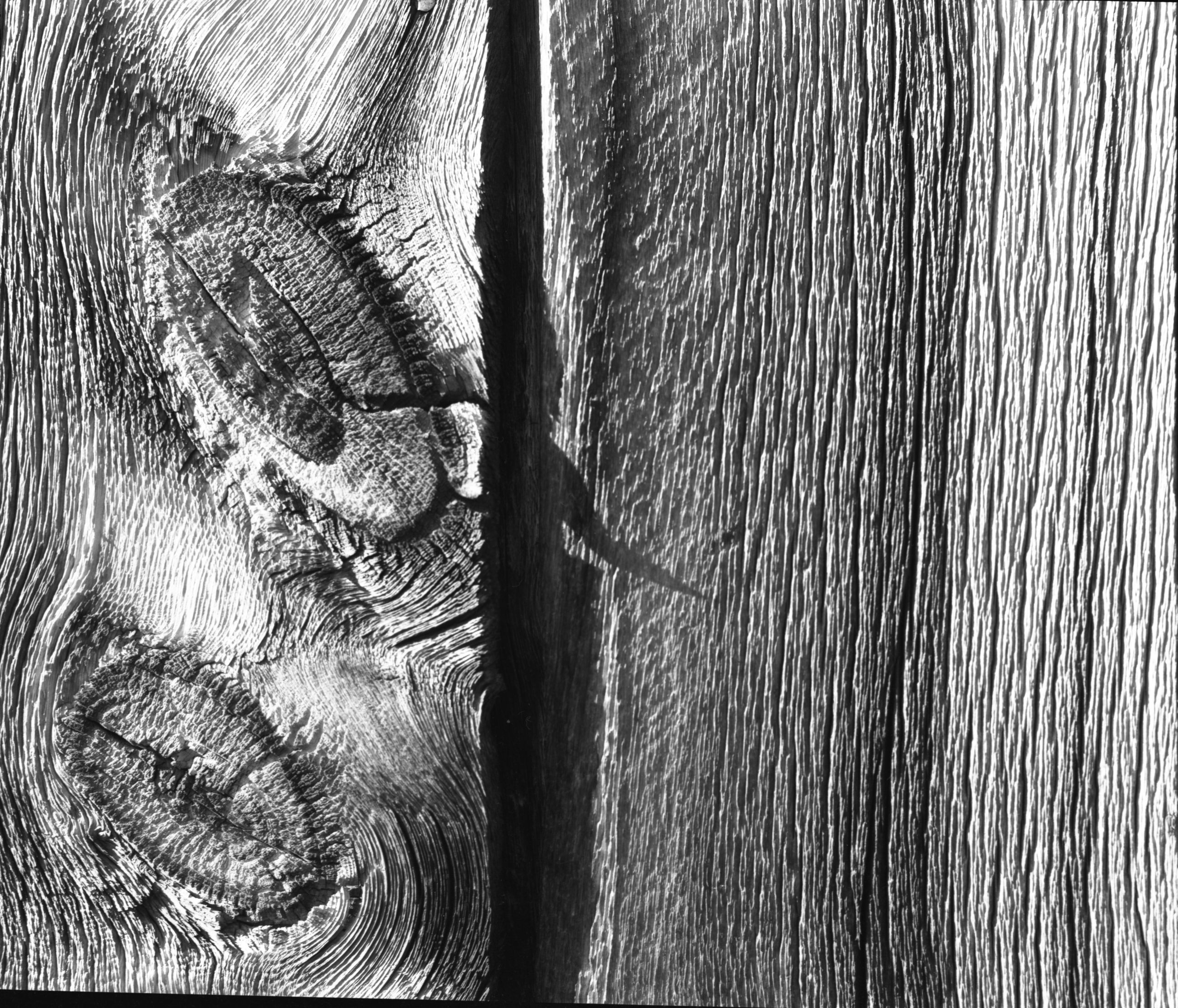 Close up of aged timber at the Sheepherder Tunnel.