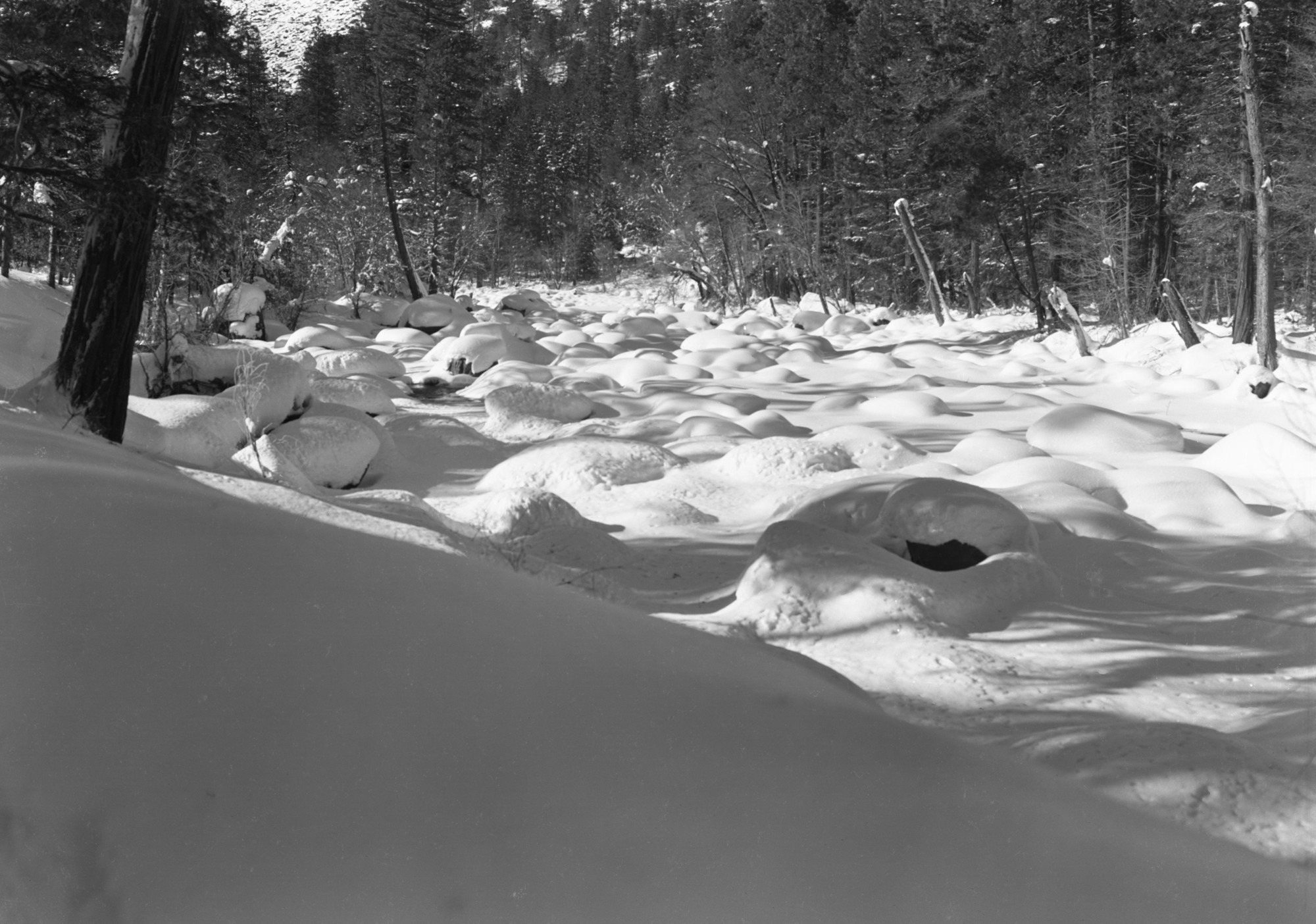 Snow on rocks near Sewage Plant (several negs). Job No. 101.