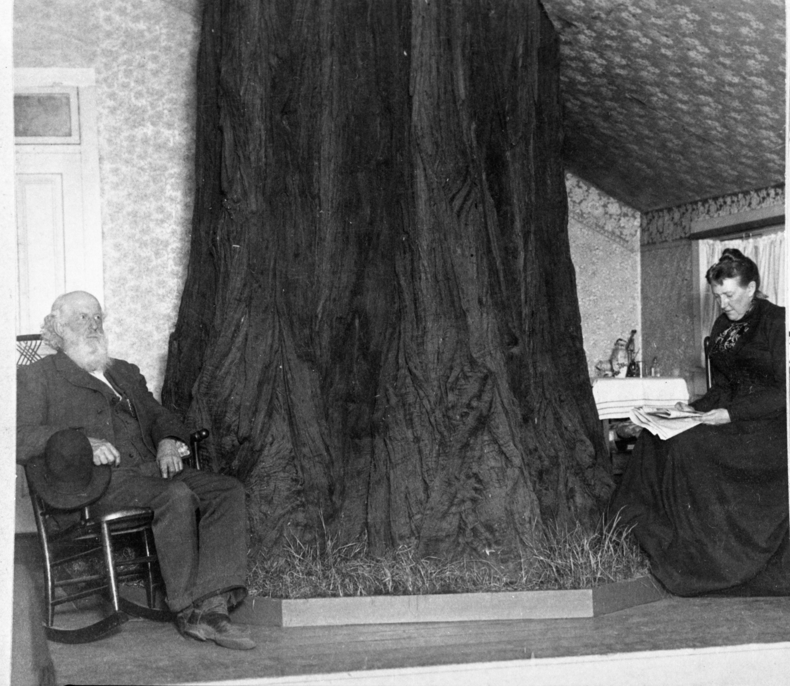Detail of L. Smaus stereo (RL-16,504). Handwritten on back: "The Big Tree Room. First hotel in the Yosemite Valley, Cal. House built around a tree." Man in photo is George Fiske. copied by Michael Dixon, copied July 1985
