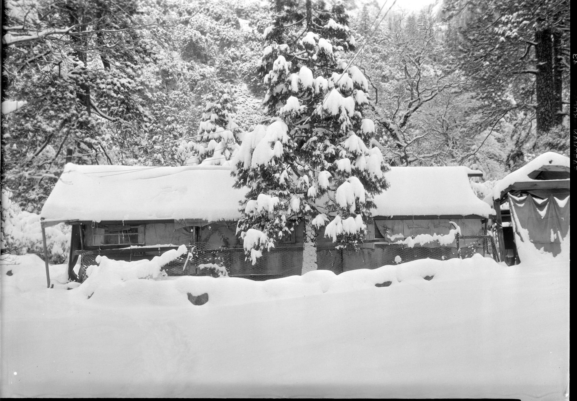 Possibly Indian Village.