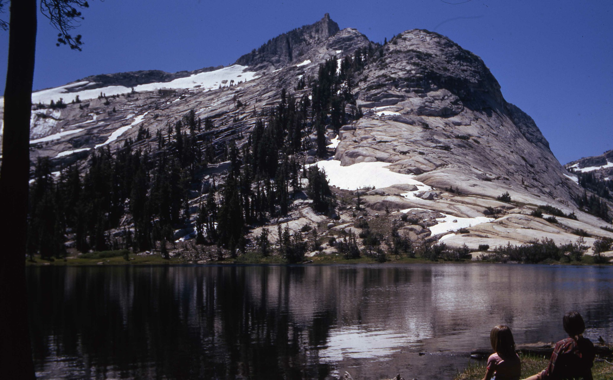 Tresidder Peak