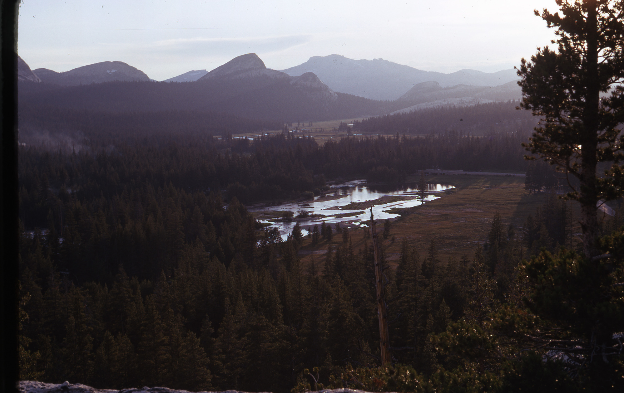 Tuolumne Meadows