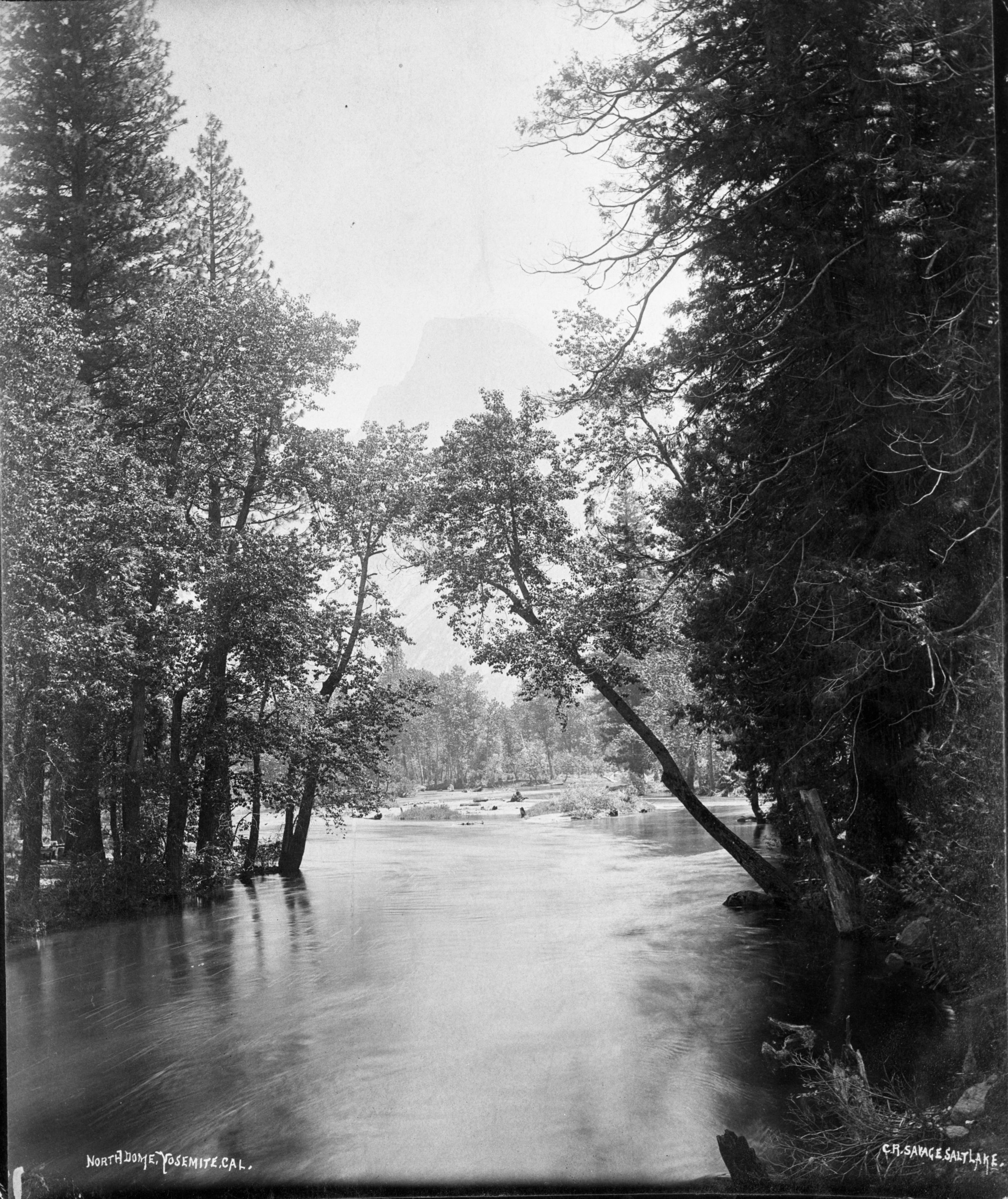 Flooded Merced River in foreground with Half Dome in background. Notation on bottom edge of print: "North Dome, Yosemite, CAL; C. R. Savage, Salt Lake". Original print in Yosemite Collections, cat. no. 21,950. This is a copy neg. made by Michael Dixon from print in a photo album. Note: C.R. Savage appears several times in hotel register for Big Tree Station, 1879. Yosemite Collection cat. no. 34,898.