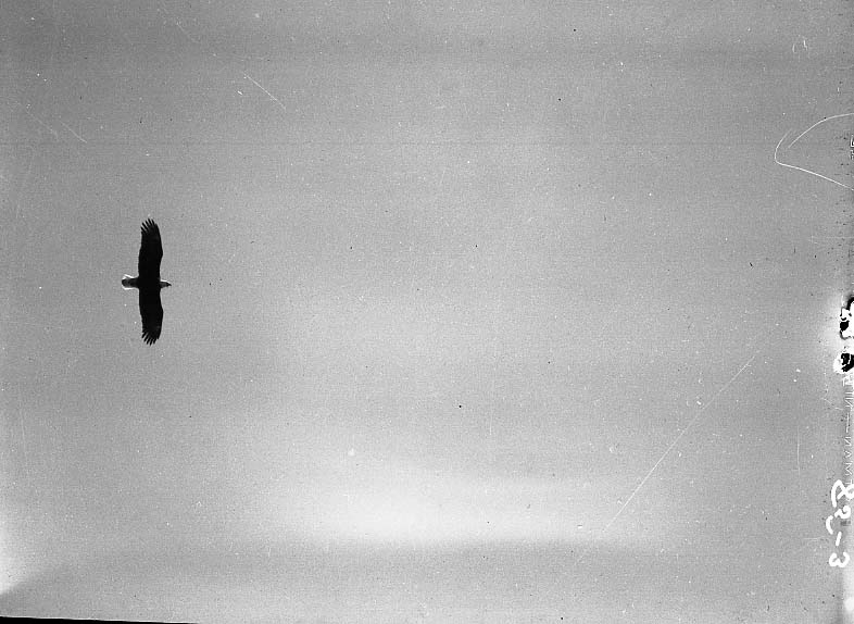 Lava Beds National Monument