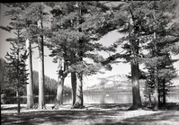 From upper end of lake.