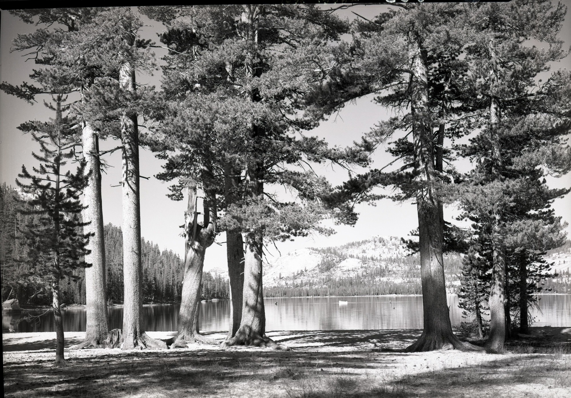 From upper end of lake.