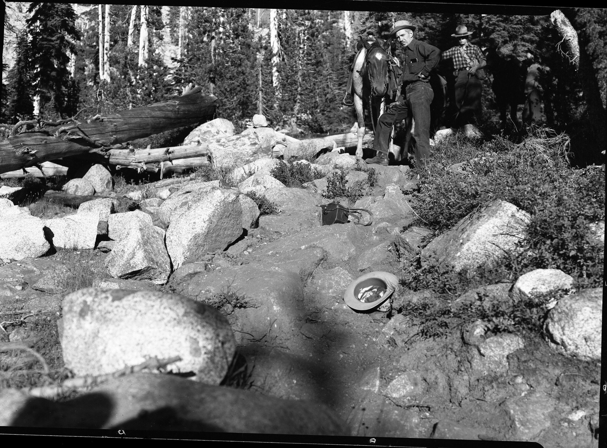 Tilden and Wilmer Lakes