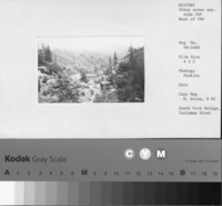 South Fork Bridge, Tuolumne River. Copy Neg: Michael Dixon, September 1981