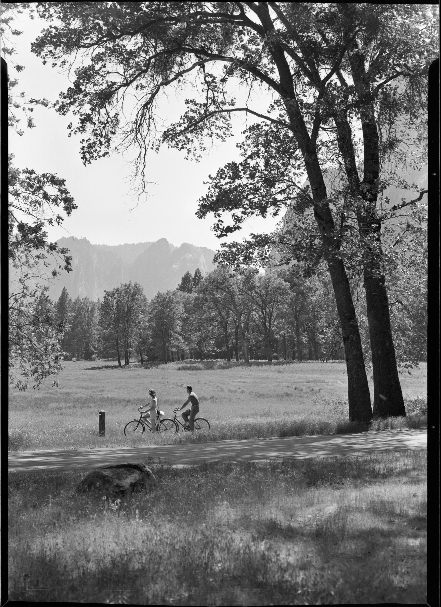 Couple on bicycle under oaks in Yosemite Valley.