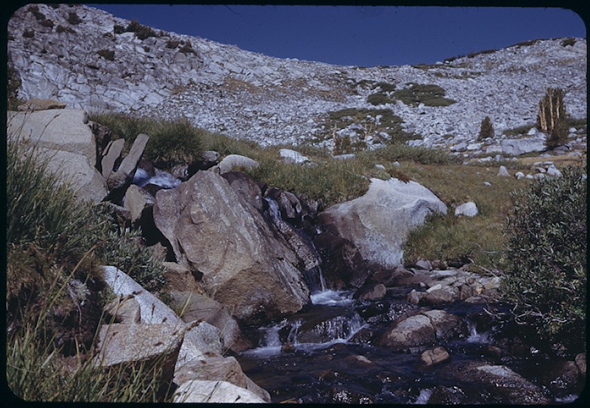 Upper Lyell Base Camp