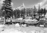 Columbia Finger from the Sunrise Trail.