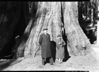 Mr. & Mrs. Draghicosco, Minister of Roumania to Mexico.