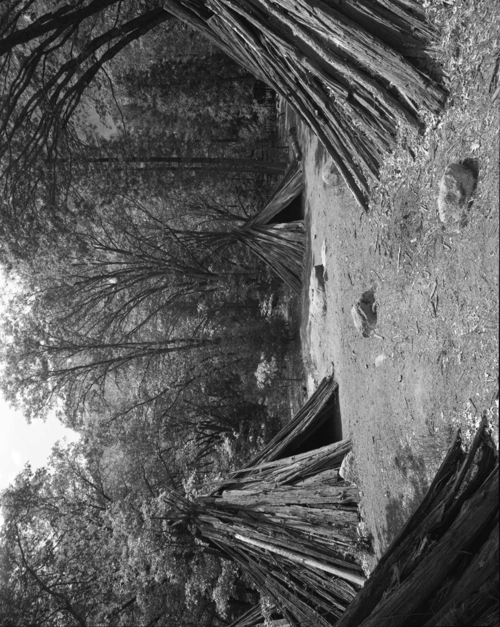 Native American Village in the back of the Visitor Center.
