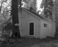 Foresta. Houseman #1. D-3.