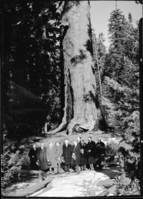 Congressional party of Grizzly Giant.