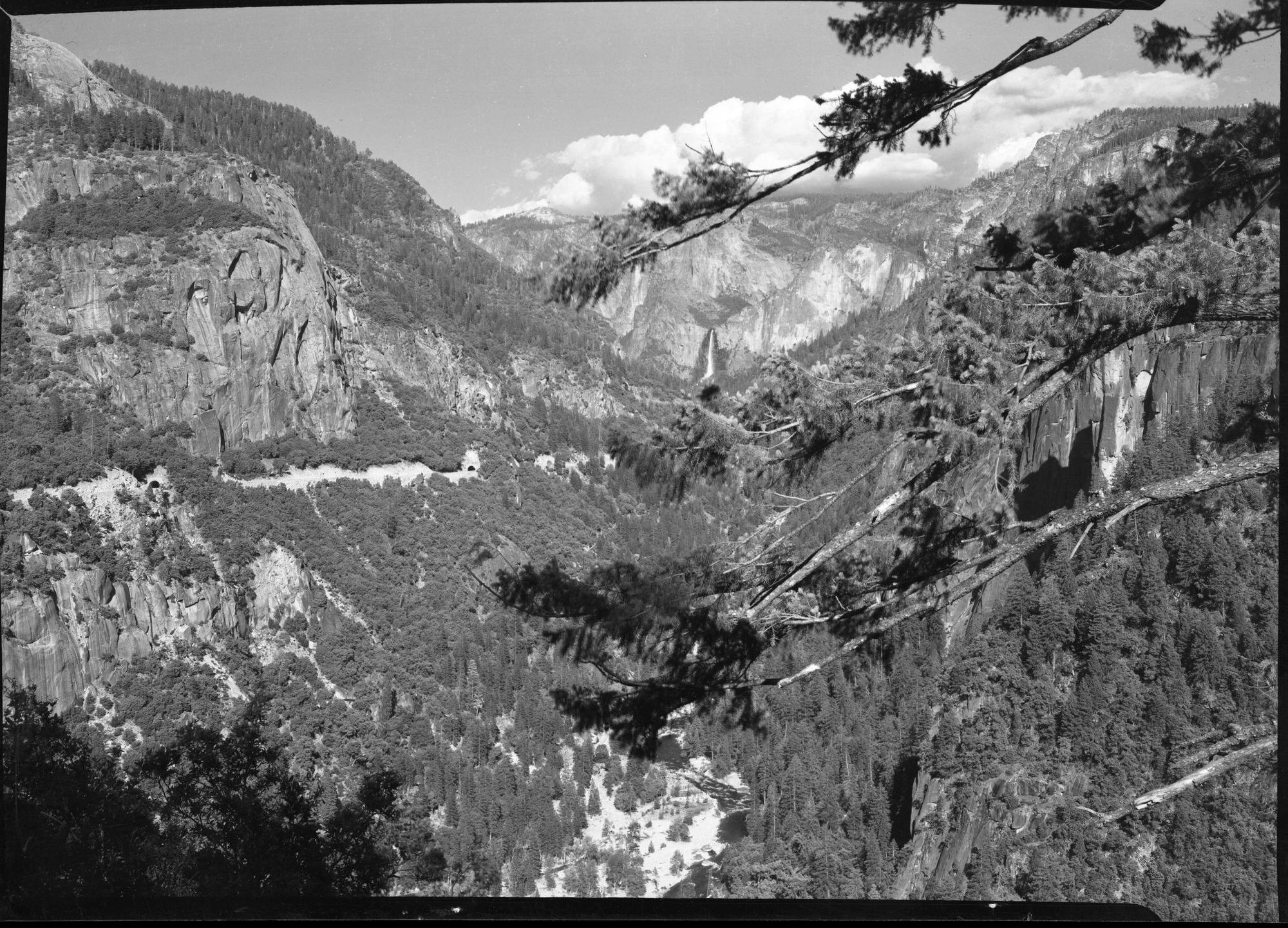 View of Big Oak Flat Road