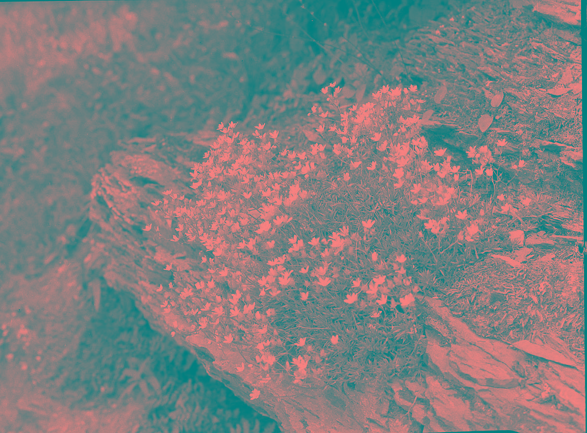 Glacier National Park