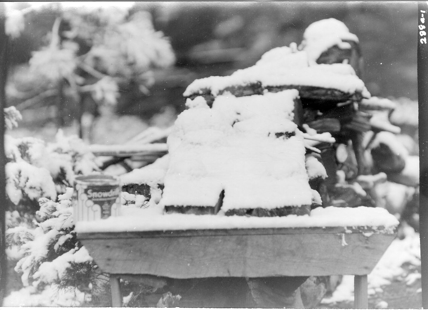 Kings Canyon National Park