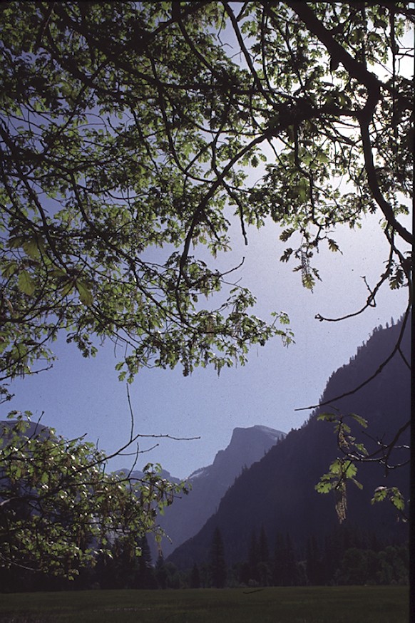 Half Dome